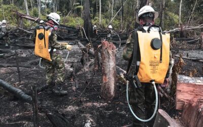 Naturaleza en disputa