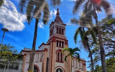 Rovira y la piel que habita en tiempos de COVID-19