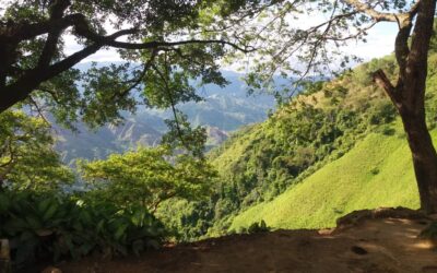 Vamos al parque a mirar las estrellas