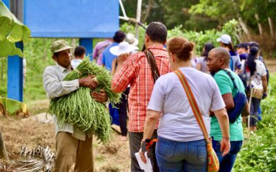 La paz para vivir sabroso