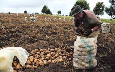 Campesinos: el drama de siempre