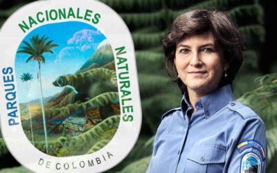 Ambiente y clientelismo político