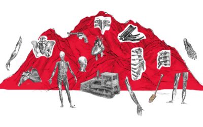 Literatura y desaparecidos