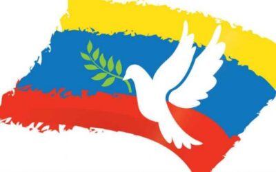 Paz y participación política