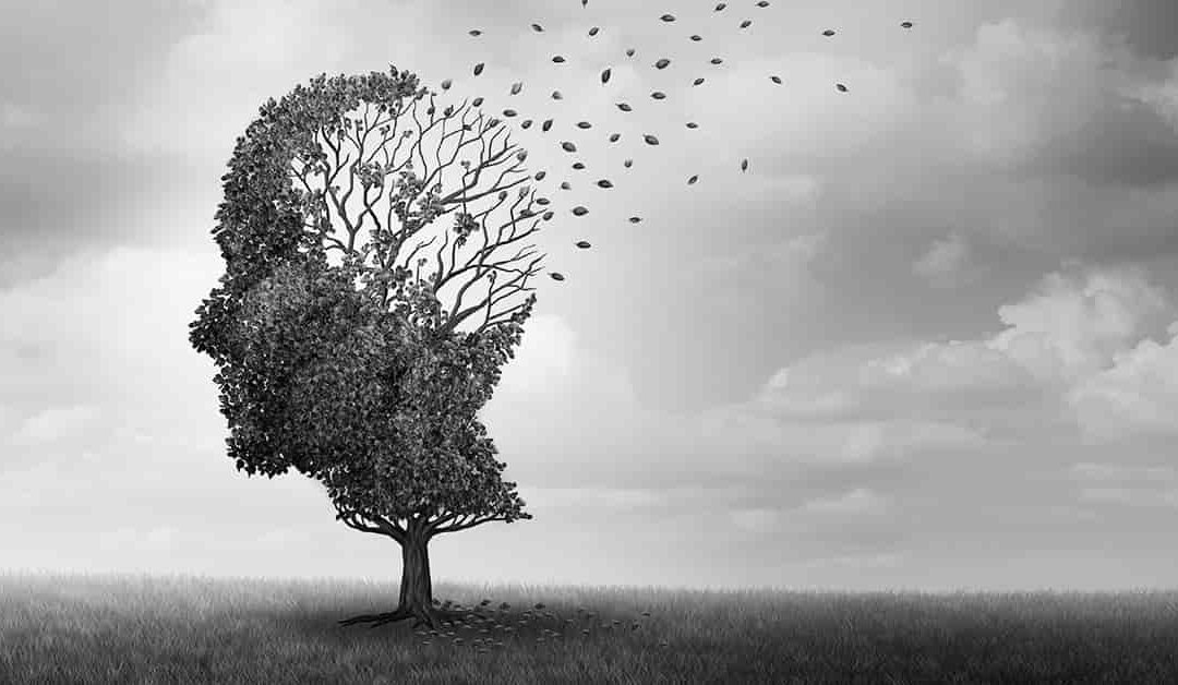 La fatalidad del olvido