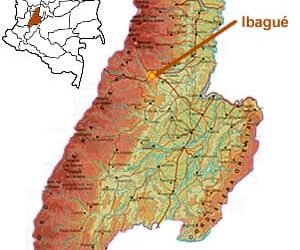 Consideraciones regionales