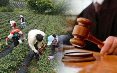 Habemus Jurisdicción Agraria