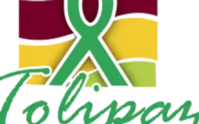 Tolipaz: 20 años construyendo territorios en paz (II)
