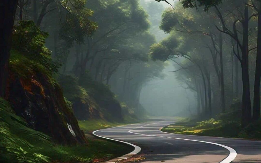 Apuestas de futuro y frustraciones