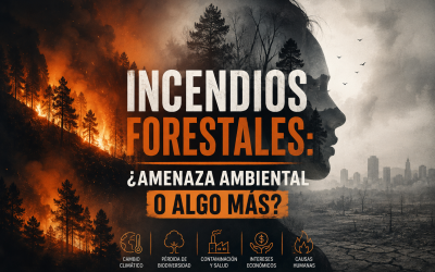 Incendios forestales: ¿amenaza ambiental o algo más?